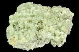 Green Prehnite Crystal Cluster - Morocco #108730-1
